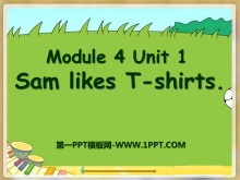 《Sam like T-shirts》PPT课件5