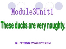 《These ducks are very naughty!》PPT课件2