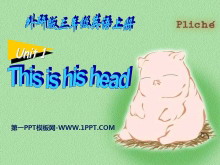 《This is his head》PPT课件