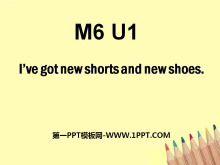 《I/ve got new shorts and new shoes》PPT课件