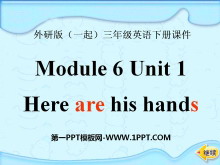 《Here are his hands》PPT课件3
