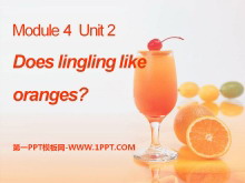 《Does Lingling like oranges?》PPT课件2