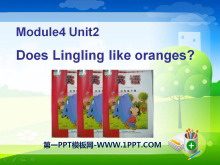 《Does Lingling like oranges?》PPT课件3