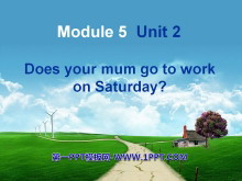 《Does your mum go to work on Saturdays?》PPT课件2