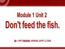 《Don/t feed the fish》PPT课件