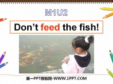 《Don/t feed the fish》PPT课件2