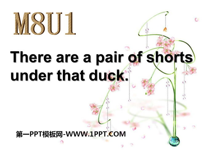 《There\s a pair of shorts under that duck》PPT课件2