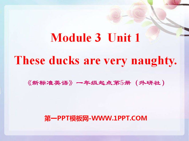 《These ducks are very naughty!》PPT课件3
