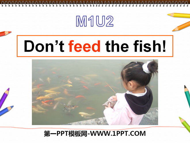 《Don\t feed the fish》PPT课件2