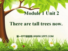 《There are tall trees now》PPT课件3
