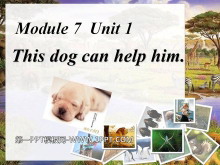 《This dog can help him》PPT课件