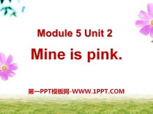 《Mine is pink》PPT课件3
