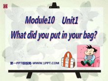 《What did you put in your bag?》PPT课件3