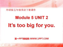 《It/s too big for you》PPT课件7