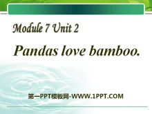《Pandas love bamboo》PPT课件2