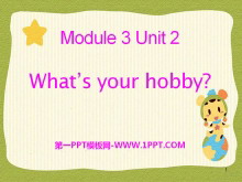《What/s your hobby》PPT课件