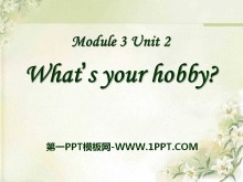 《What/s your hobby》PPT课件2