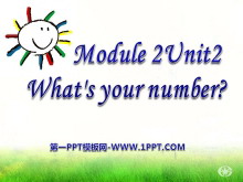 《what/s your number?》PPT课件