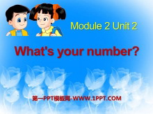 《what/s your number?》PPT课件3