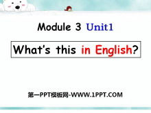 《What/s this in English》PPT课件2