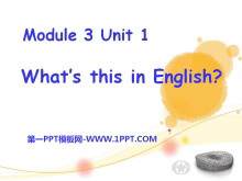 《What/s this in English》PPT课件3