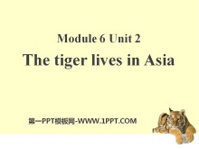 《The tiger lives in Asia》PPT课件