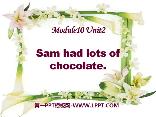 《Sam had lots of chocolates》PPT课件