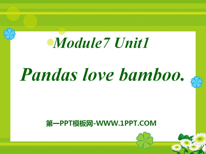 《Pandas love bamboo》PPT课件4