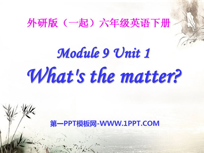 《What\s the matter?》PPT课件9