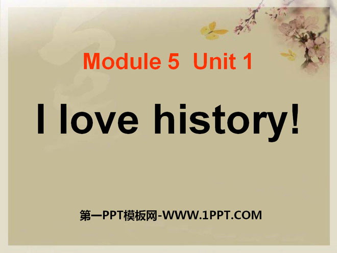 《I love history》PPT课件2