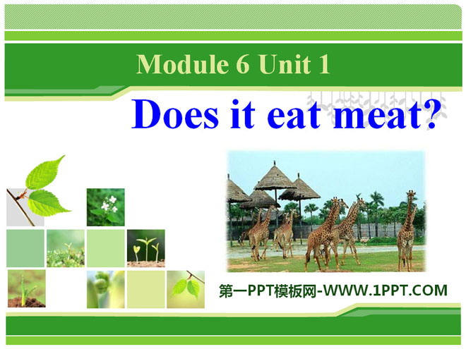 《Does it eat meat?》PPT课件