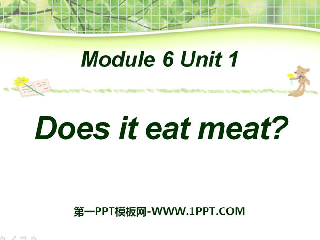 《Does it eat meat?》PPT课件3