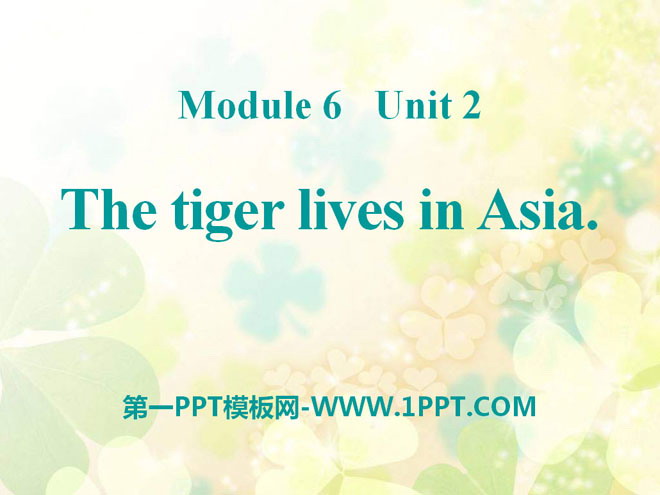 《The tiger lives in Asia》PPT课件4