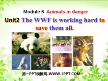 《The WWF is working hard to save them all》Animals in danger PPT课件2