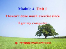 《I haven/t done much exercise since I got my computer》Seeing the doctor PPT课件