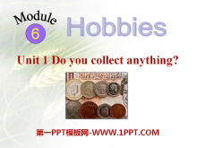 《Do you collect anything?》Hobbies PPT课件2