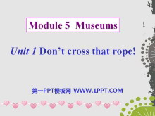 《Don/t cross that rope》Museums PPT课件2