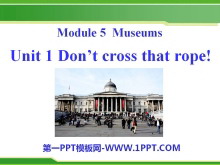 《Don/t cross that rope》Museums PPT课件3