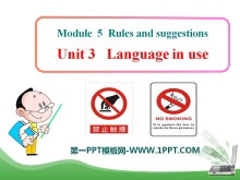 《Language in use》Rules and suggestions PPT课件