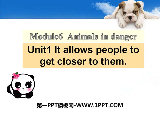 《It allows people to get closer to them》Animals in danger PPT课件2