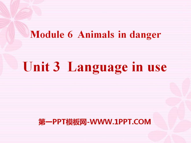 《Language in use》Animals in danger PPT课件4