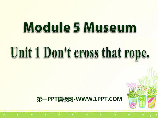 《Don\t cross that rope》Museums PPT课件