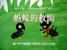 《蚂蚁的救助》PPT课件3