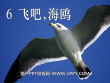 《飞吧，海鸥》PPT课件2