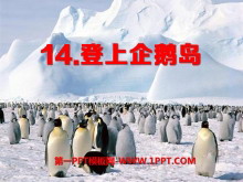 《登上企鹅岛》PPT课件2