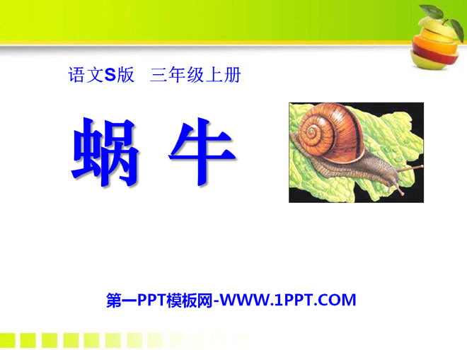 《蜗牛》PPT课件2