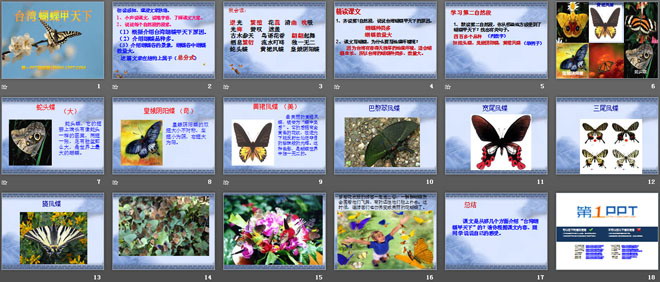 《台湾蝴蝶甲天下》PPT课件2