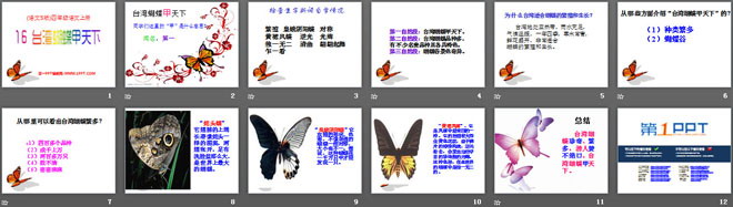 《台湾蝴蝶甲天下》PPT课件3