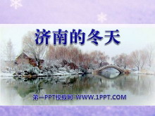 《济南的冬天》PPT课件14