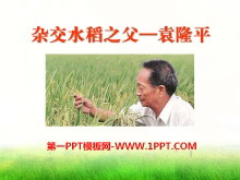 《杂交水稻之父--袁隆平》PPT课件2